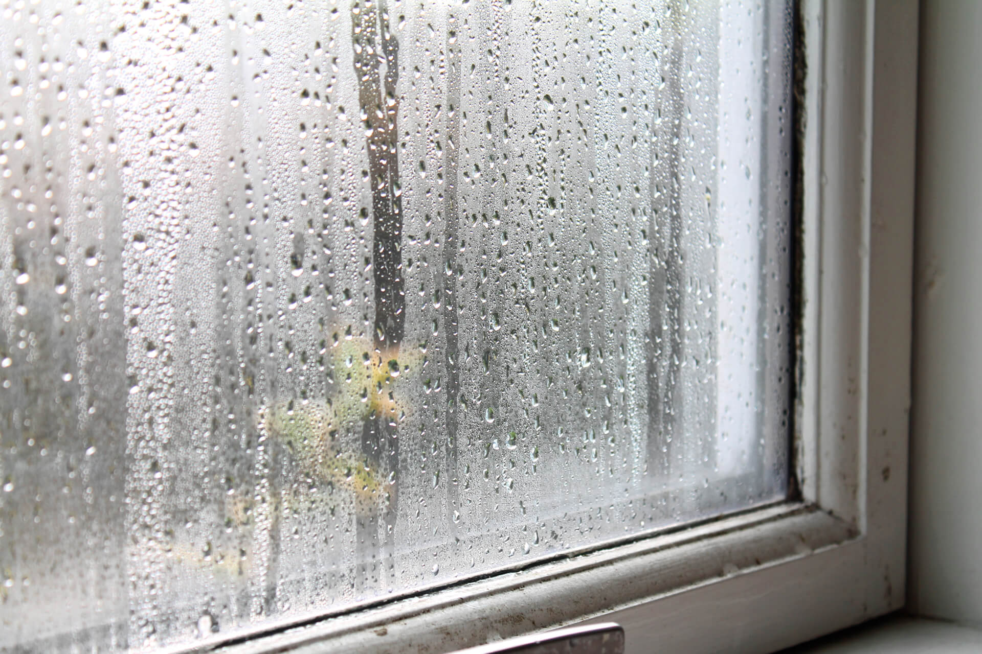 Mouldy window frame